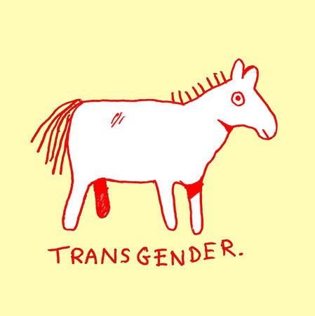 transgender horse