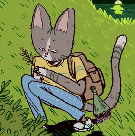 mreow